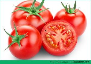 番茄吃瓜系统小说,穿越时空的甜蜜复仇之旅