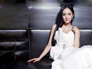 吃瓜罗伯特杨幂,杨幂与罗伯特的神秘关系揭秘